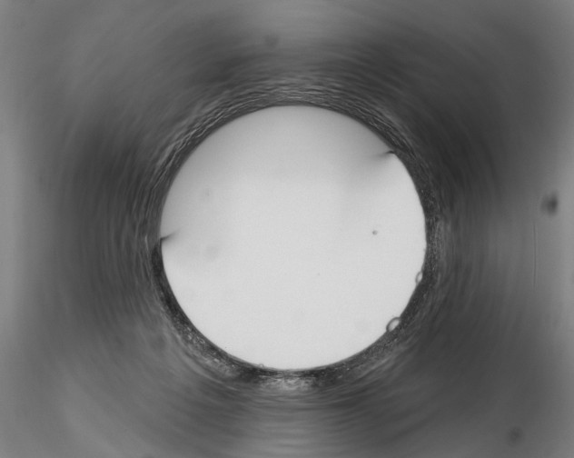 X0000114610217200912010945