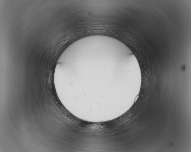 X0000114610219200912010945