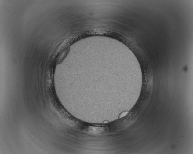 X0000114610220200912010945