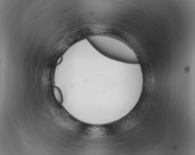 X0000114610221200912010945