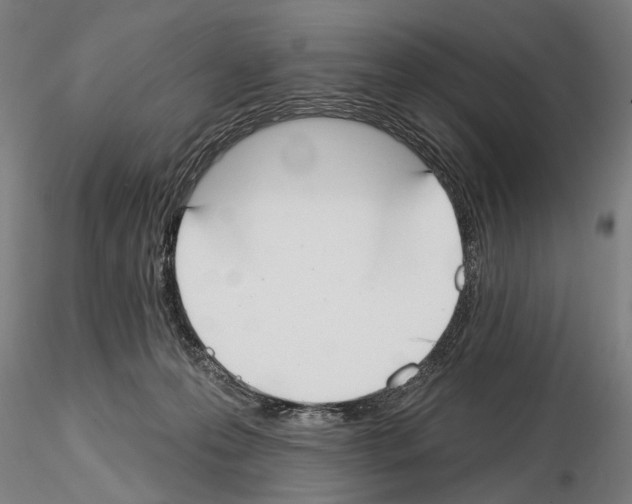 X0000114610223200912010945