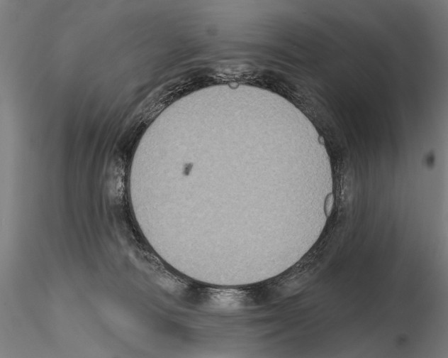 X0000114610226200912010945