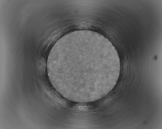 X0000114610228200912010945