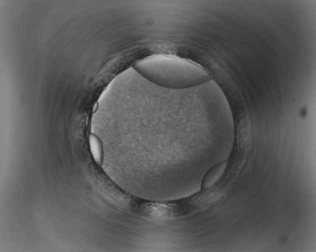 X0000114610229200912010945