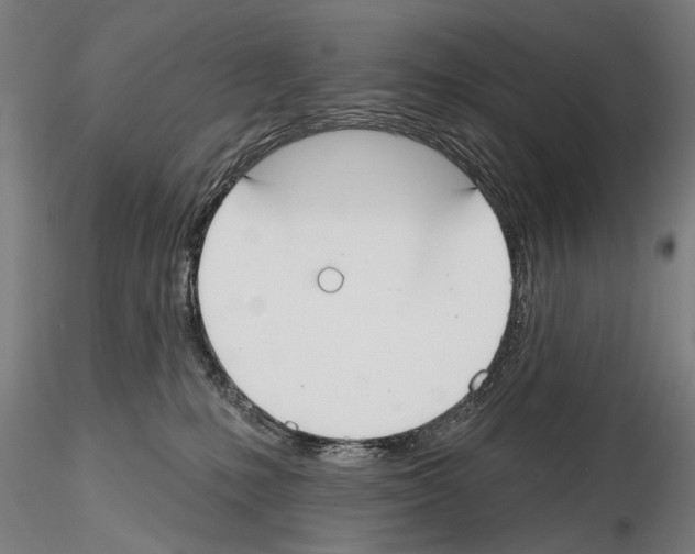 X0000114610231200912010944