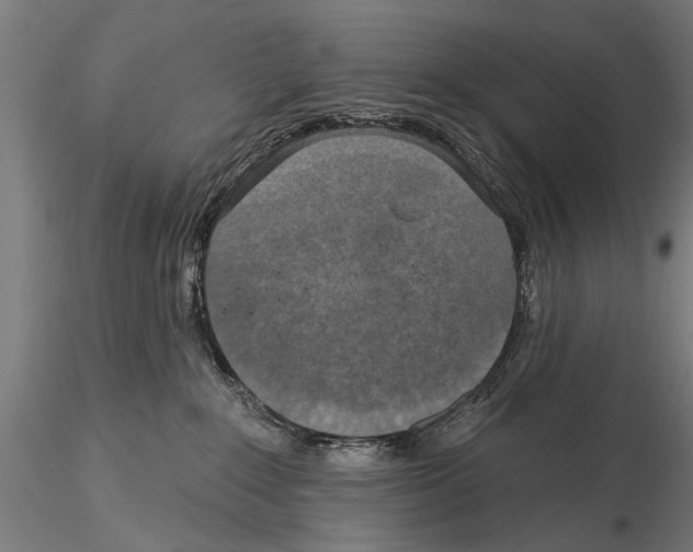 X0000114610235200912010944