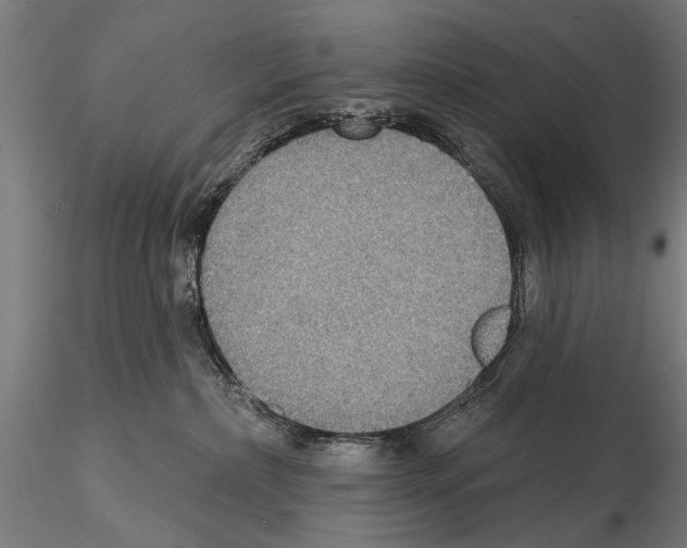 X0000114610236200912010944