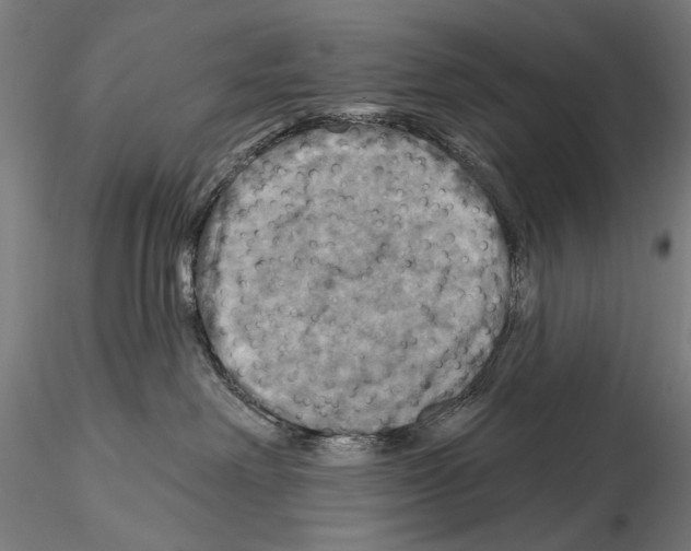 X0000114610238200912010944