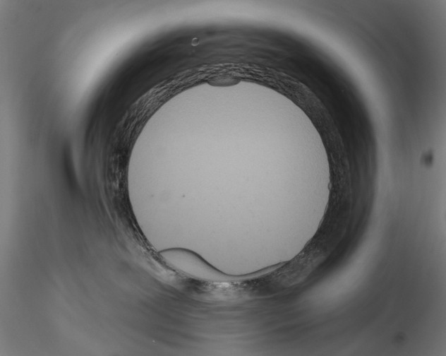 X0000114610239200912010944