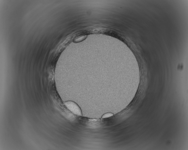 X0000114610240200912010944