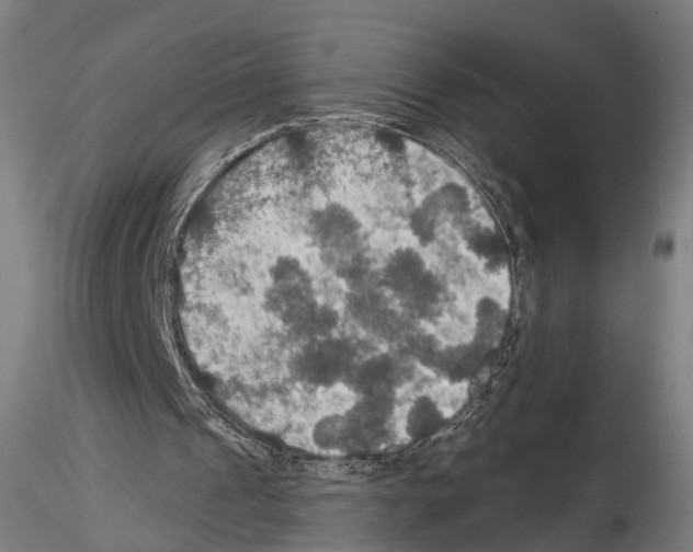 X0000114610241200912010944