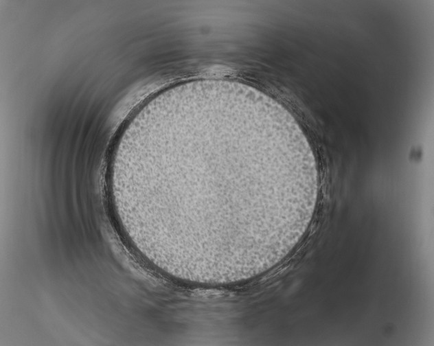 X0000114610242200912010944