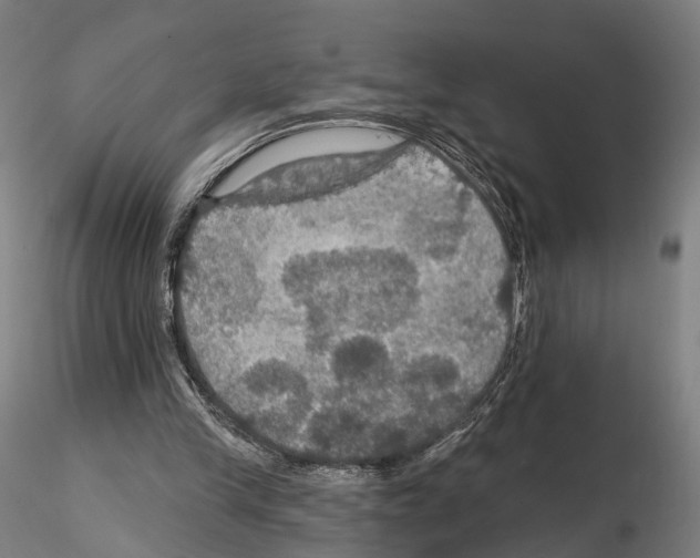 X0000114610245200912010944