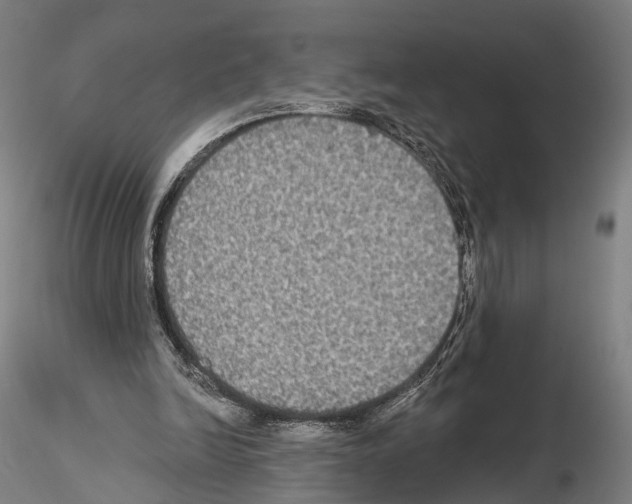 X0000114610246200912010944