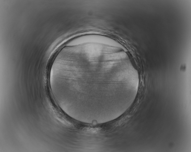 X0000114610247200912010944