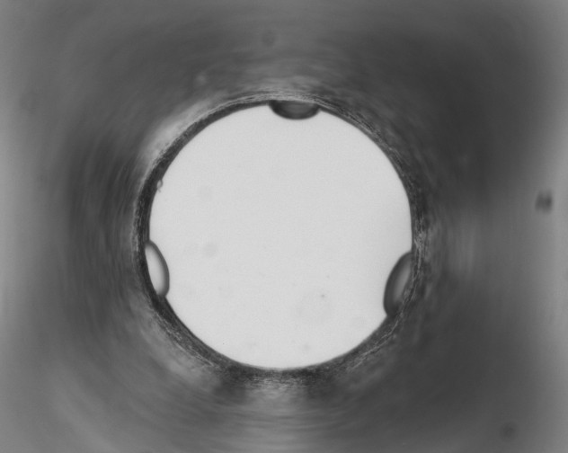 X0000114610248200912010944