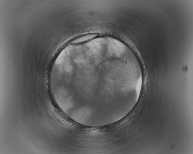 X0000114610249200912010944