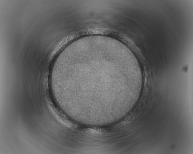 X0000114610250200912010944