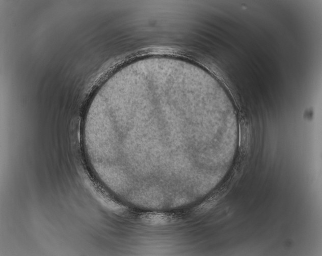 X0000114610253200912010944