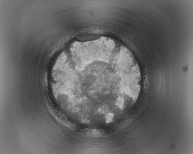 X0000114610254200912010944