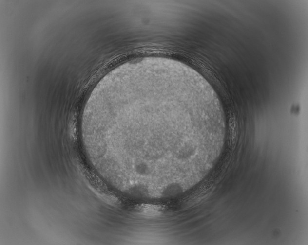 X0000114610255200912010944