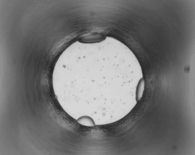 X0000114610256200912010944