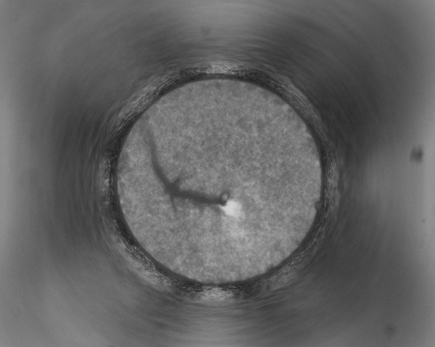 X0000114610257200912010944