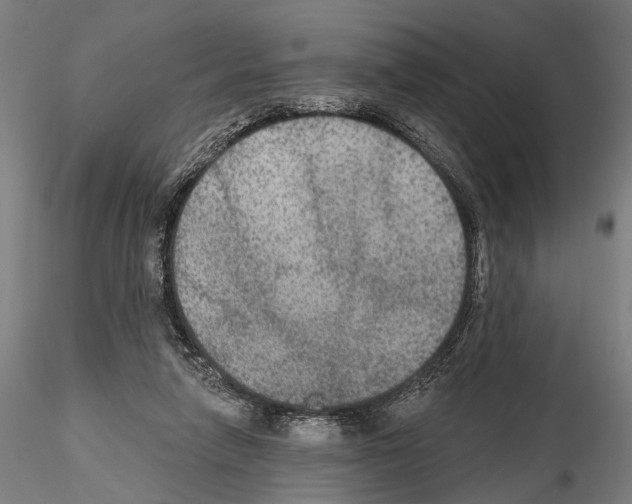 X0000114610258200912010944