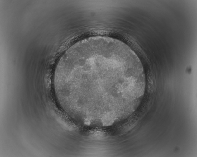 X0000114610259200912010944