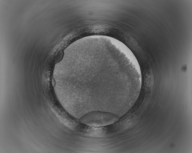 X0000114610260200912010944