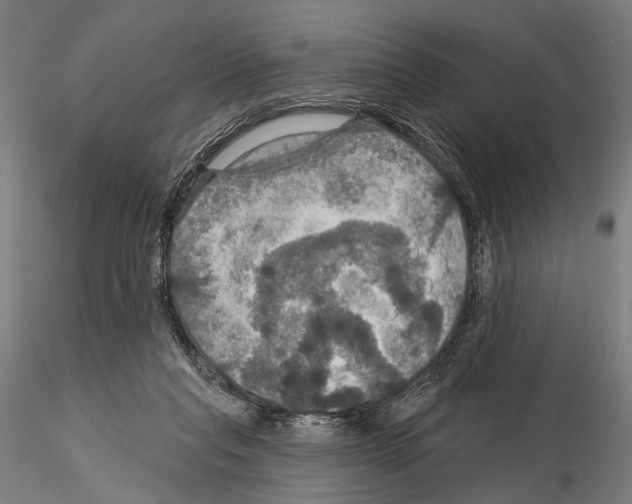 X0000114610261200912010944