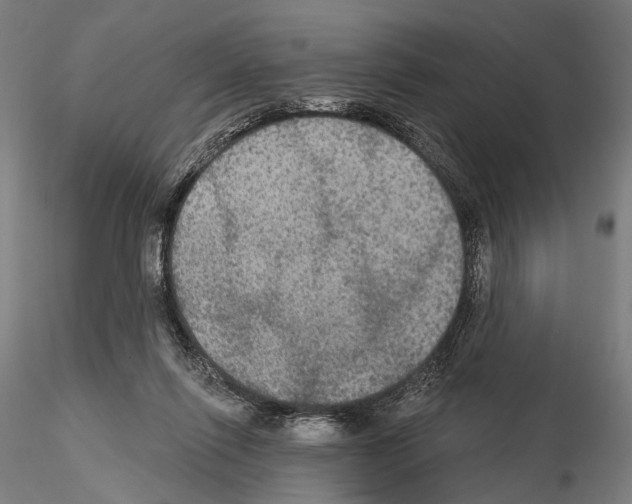 X0000114610262200912010944