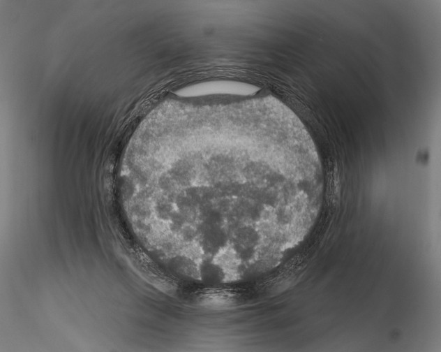 X0000114610263200912010944