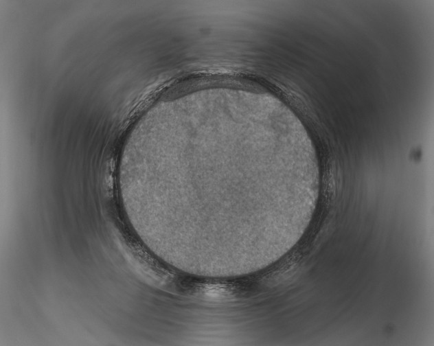 X0000114610264200912010944