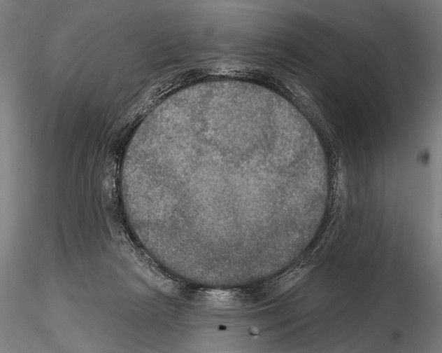 X0000114610265200912010944