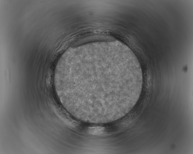 X0000114610266200912010944