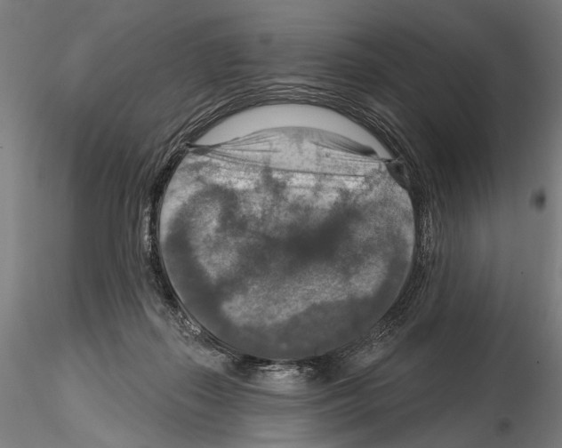 X0000114610267200912010944