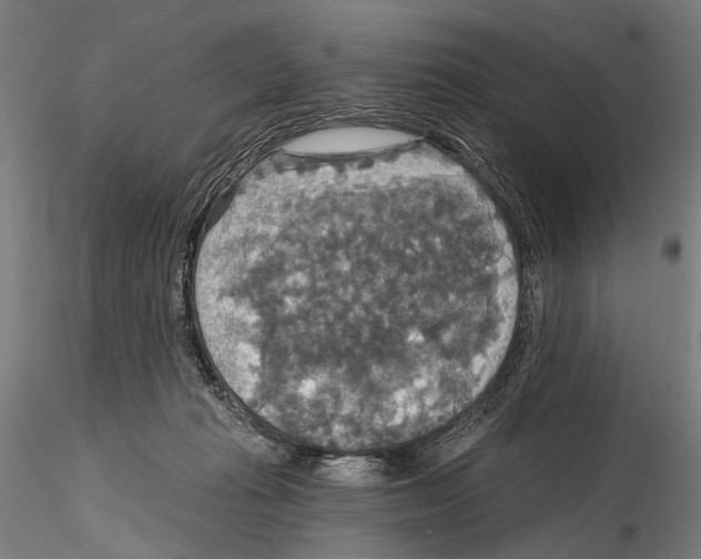 X0000114610269200912010944