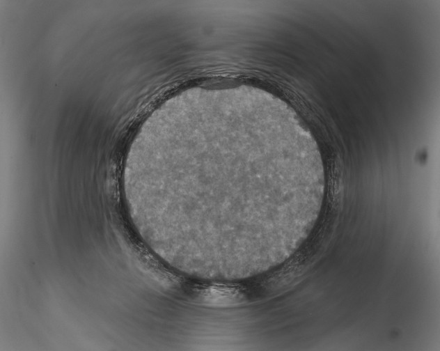 X0000114610270200912010944