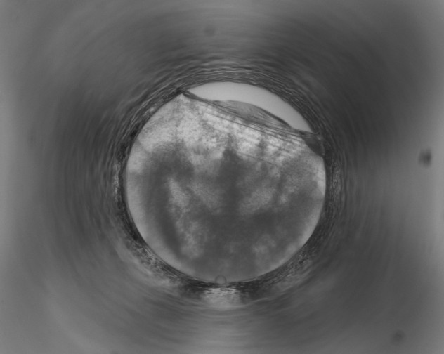 X0000114610271200912010944