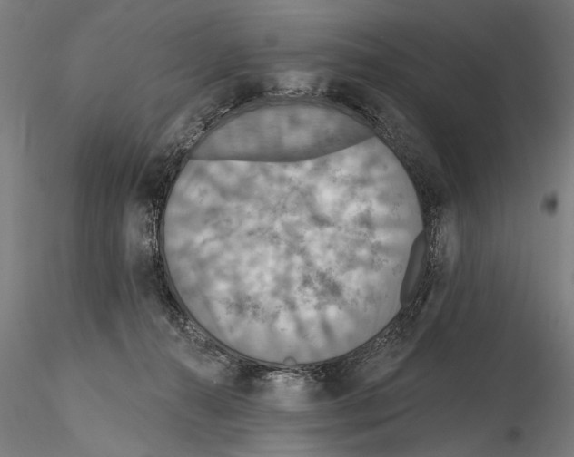 X0000114610272200912010944