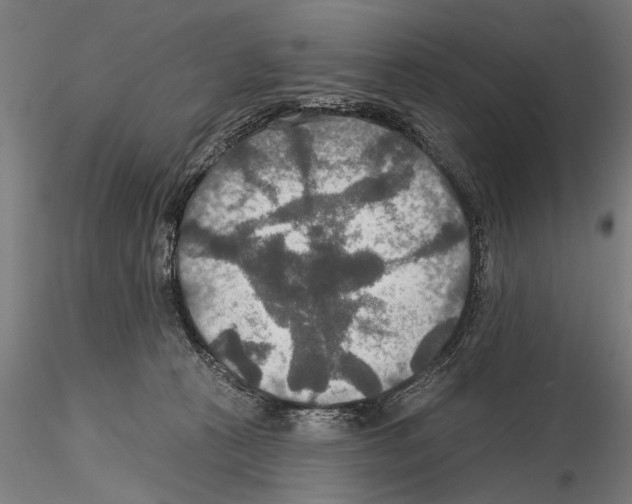 X0000114610273200912010944