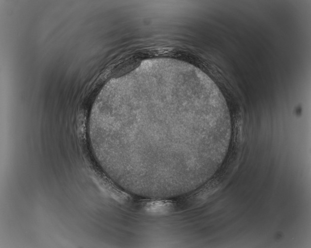 X0000114610274200912010944