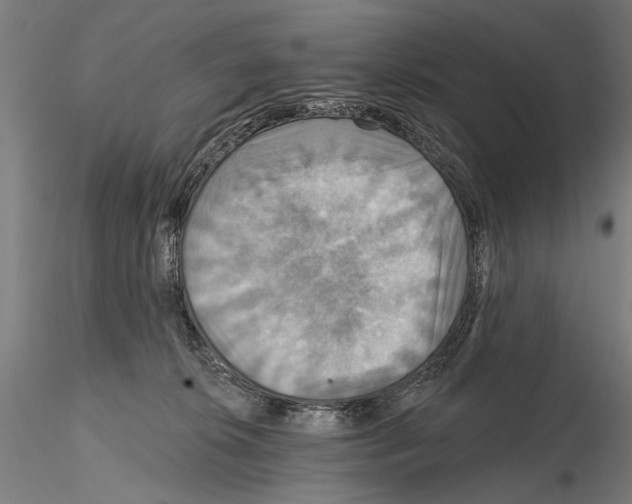 X0000114610276200912010944