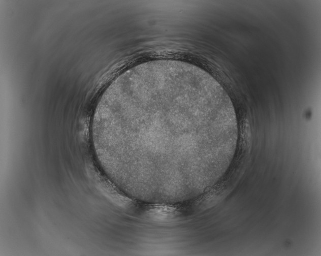 X0000114610278200912010944