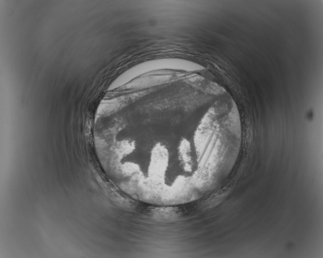 X0000114610281200912010944