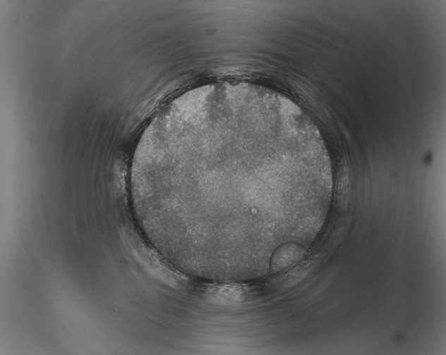 X0000114610282200912010944