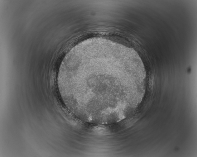 X0000114610283200912010944