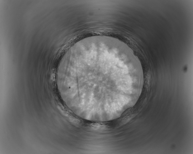 X0000114610284200912010944