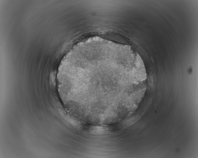 X0000114610286200912010944